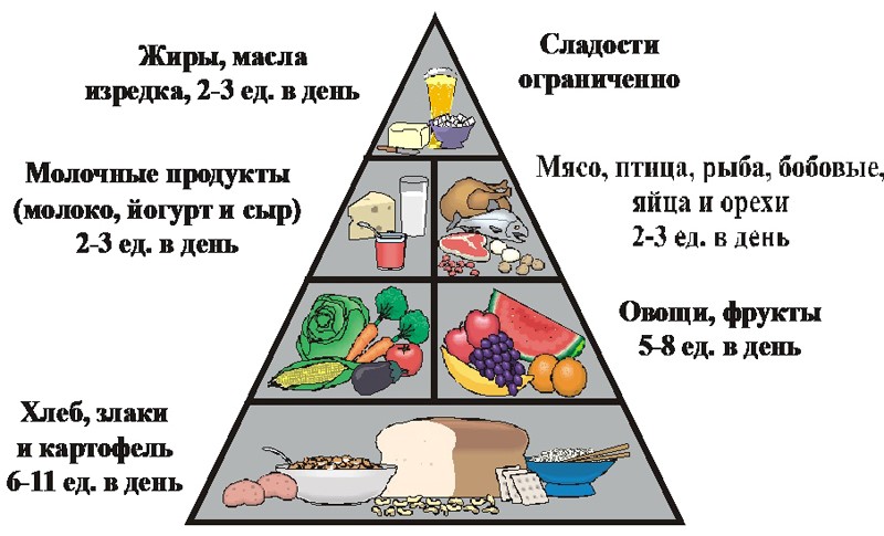 Пирамида здорового питания в картинках